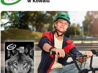 Nadszedł czas Młodych Wilków!